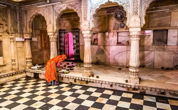 Photo of KARNI MATA TEMPLE, Deshnok, Rajasthan, India by thewanderjoy