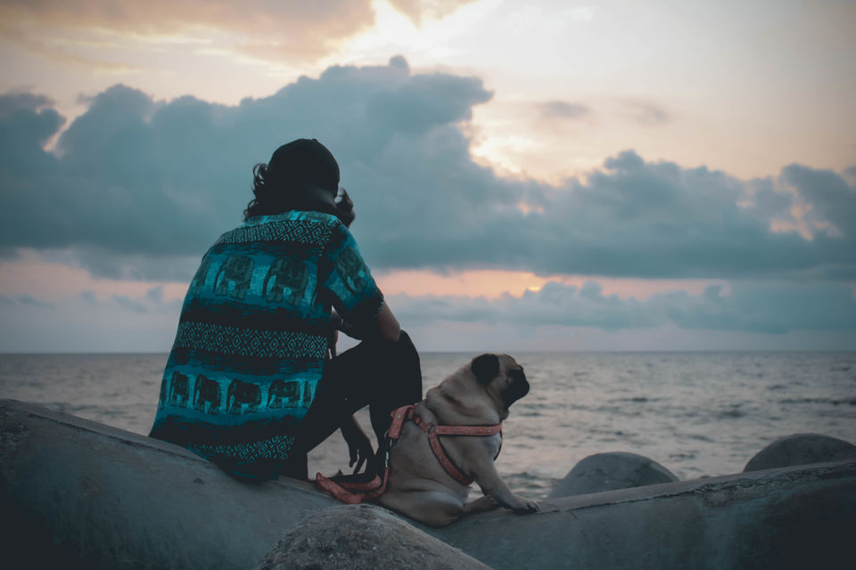 Photo of A 8000km, 28 Day Road Trip, From Gurgaon to Udupi, Just to Take His Pet Dog to a Beach! Find Out How 9/18 by thewanderjoy