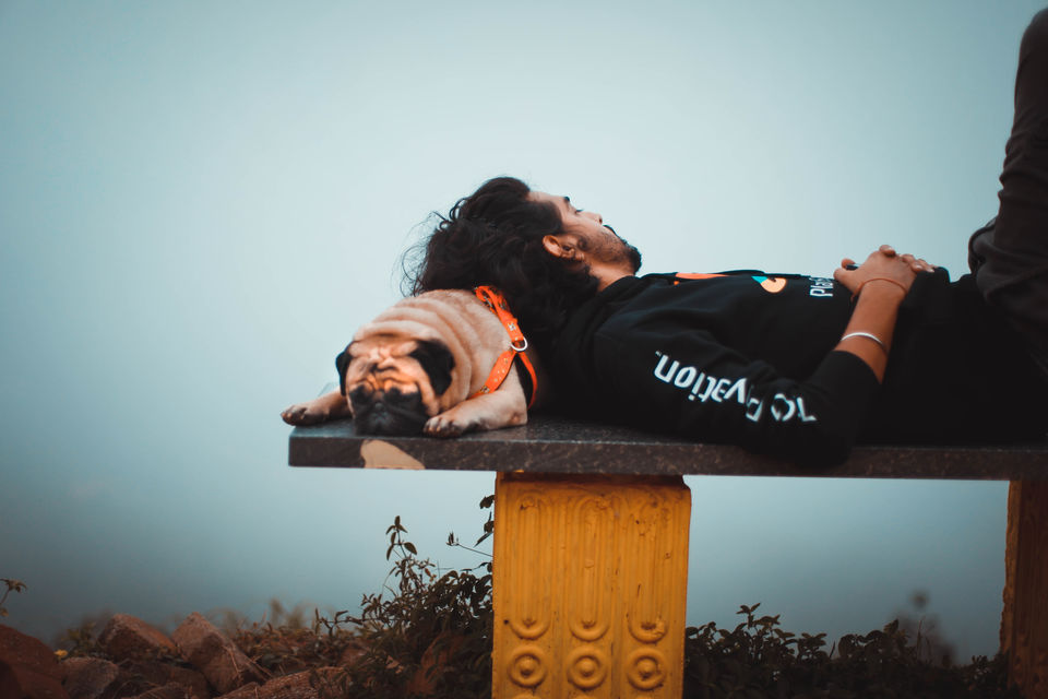 Photo of A 8000km, 28 Day Road Trip, From Gurgaon to Udupi, Just to Take His Pet Dog to a Beach! Find Out How 15/18 by thewanderjoy