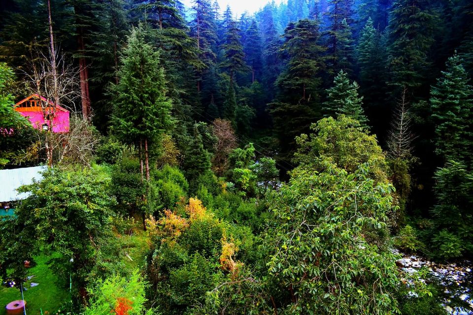 Photo of 10 Breathtaking River Facing Stays in Himachal To Beat The Heat & Chill With A View! by thewanderjoy