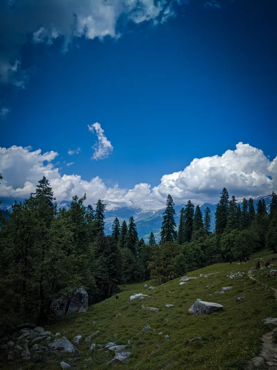 Photo of Lama Dugh Trek Start Point, Old Manali, Manali, Himachal Pradesh, India by thewanderjoy