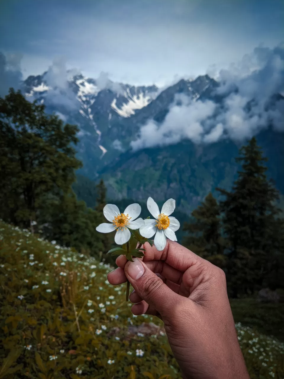 Photo of Lama Dugh Trek Start Point, Old Manali, Manali, Himachal Pradesh, India by thewanderjoy