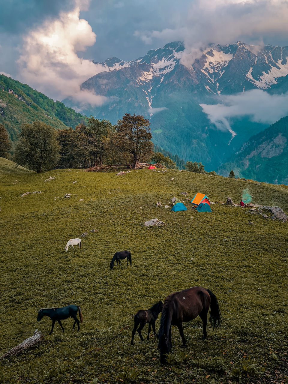 Photo of Get Your "Me Time" in This Hidden Meadow, Just A Few Hours Away From Manali. by thewanderjoy