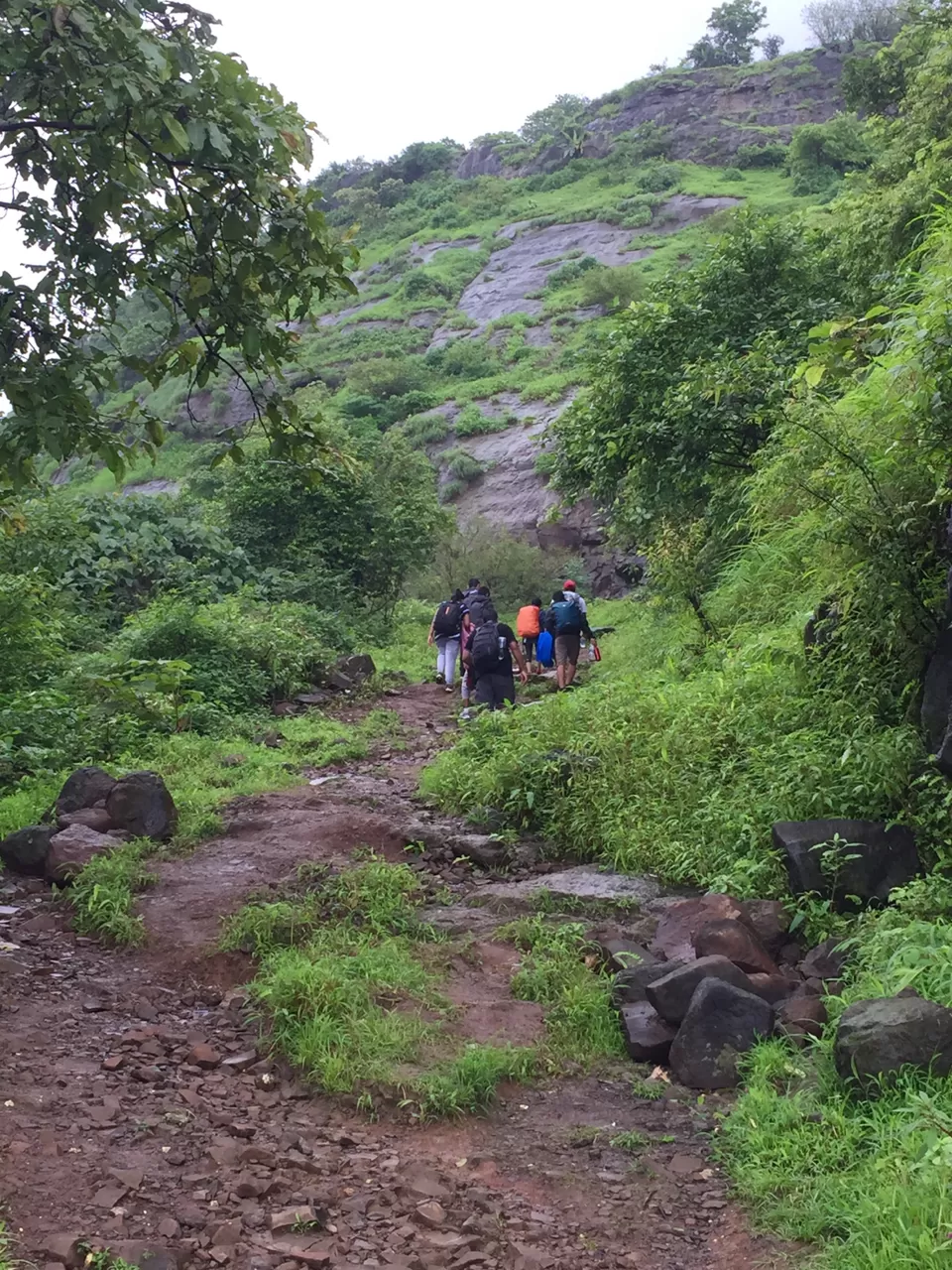 Photo of One Of The Dangerous Trek- Kalavantin durg by Manish Raut