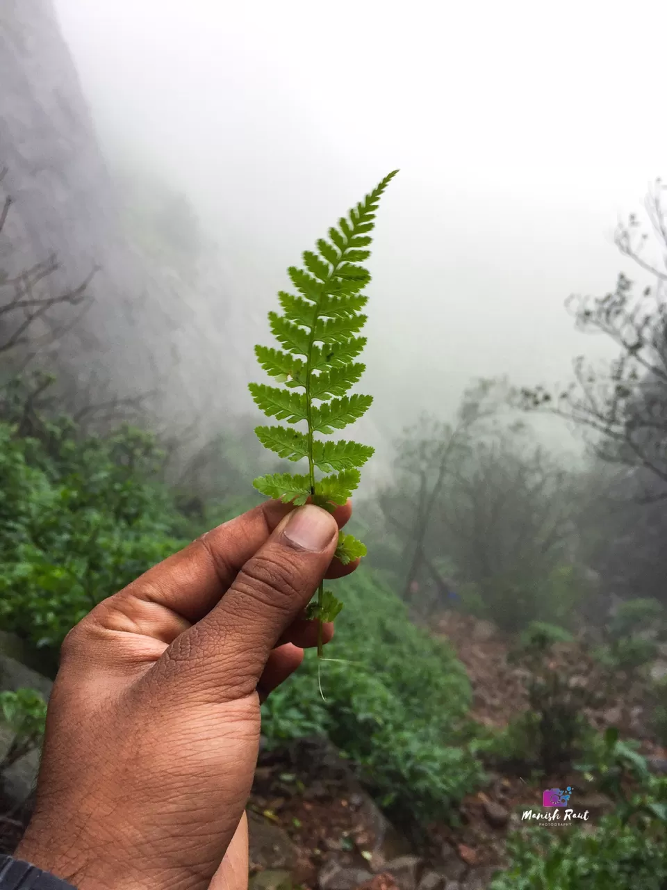 Photo of One Of The Dangerous Trek- Kalavantin durg by Manish Raut