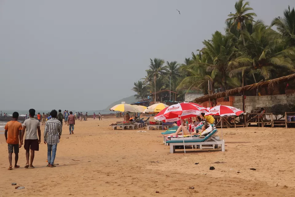 Photo of Explore The Best Of Western Ghats- Gonarna, Konakan & Goa , #westernghatsinphotos by Manish Raut