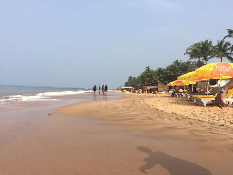 Photo of Explore The Best Of Western Ghats- Gonarna, Konakan & Goa , #westernghatsinphotos by itinerant_traveler (Manish)