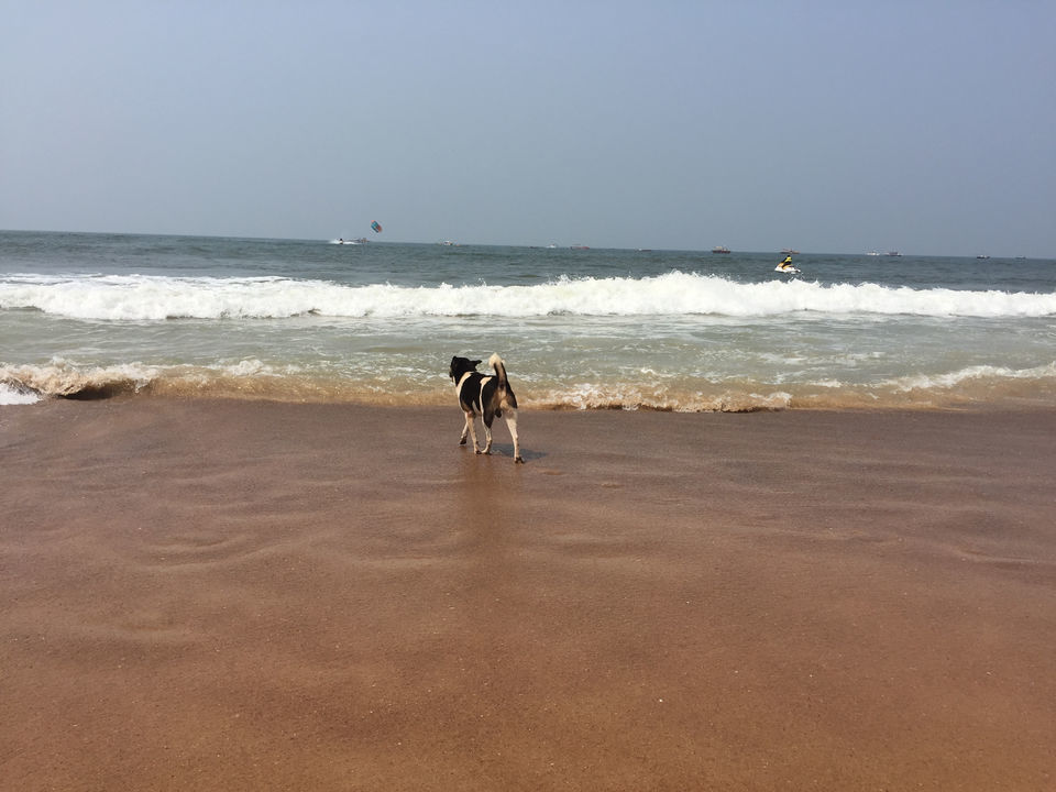 Photo of Explore The Best Of Western Ghats- Gonarna, Konakan & Goa , #westernghatsinphotos by itinerant_traveler (Manish)