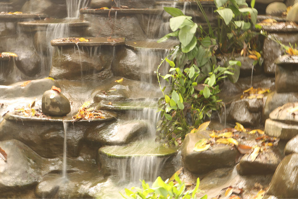 Photo of Explore The Best Of Western Ghats- Gonarna, Konakan & Goa , #westernghatsinphotos by itinerant_traveler (Manish)