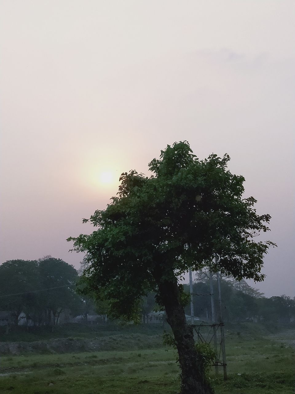 Photo of Trip itinerary in the small town of Mirik by Kavita
