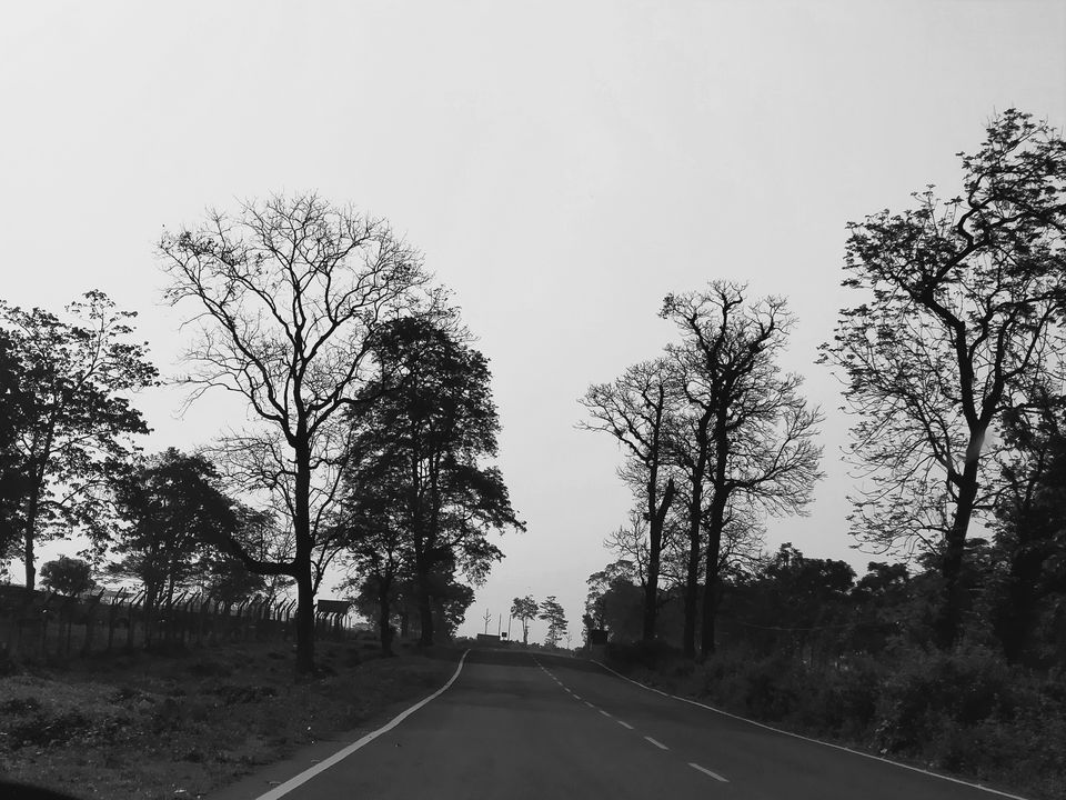 Photo of Trip itinerary in the small town of Mirik by Kavita