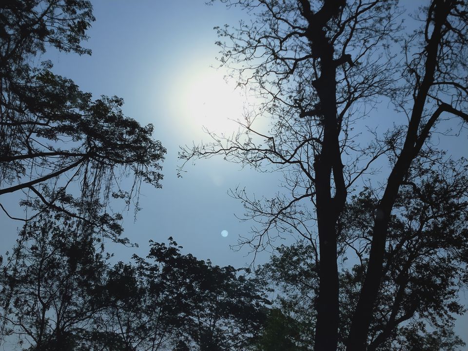 Photo of Trip itinerary in the small town of Mirik by Kavita