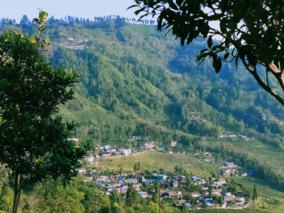 Photo of Trip itinerary in the small town of Mirik by Kavita