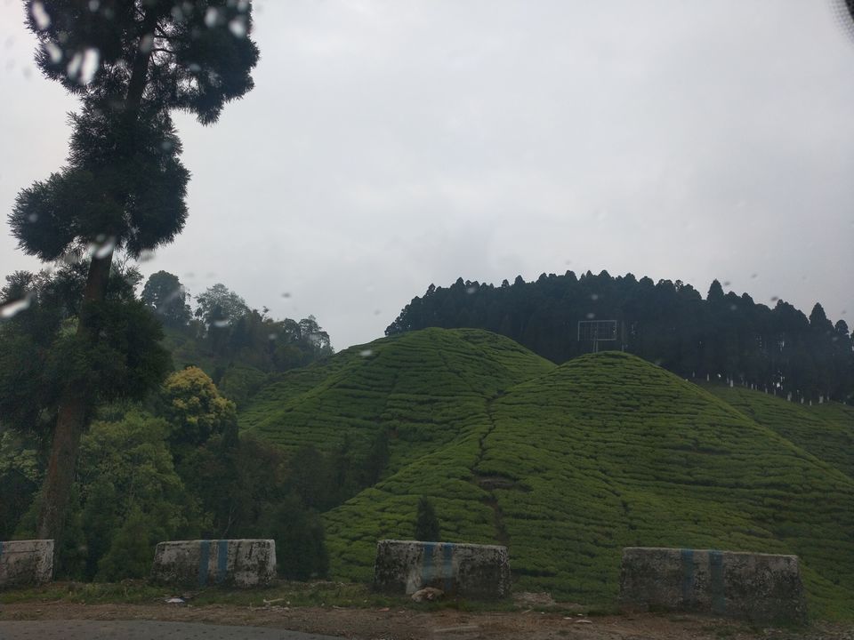 Photo of Trip itinerary in the small town of Mirik by Kavita