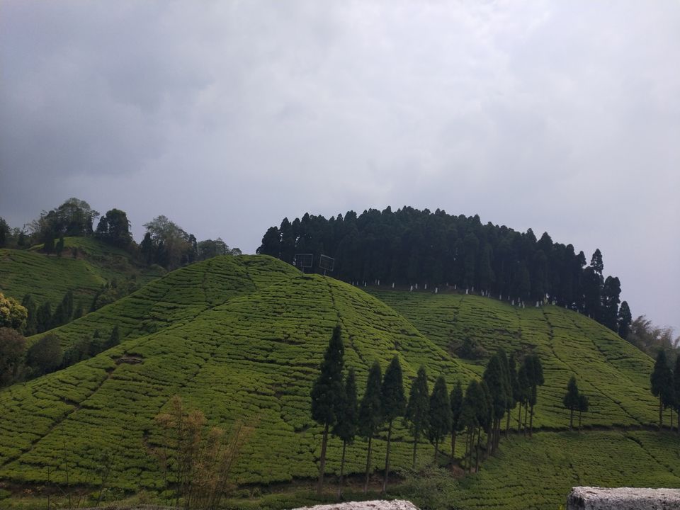 Photo of Trip itinerary in the small town of Mirik by Kavita
