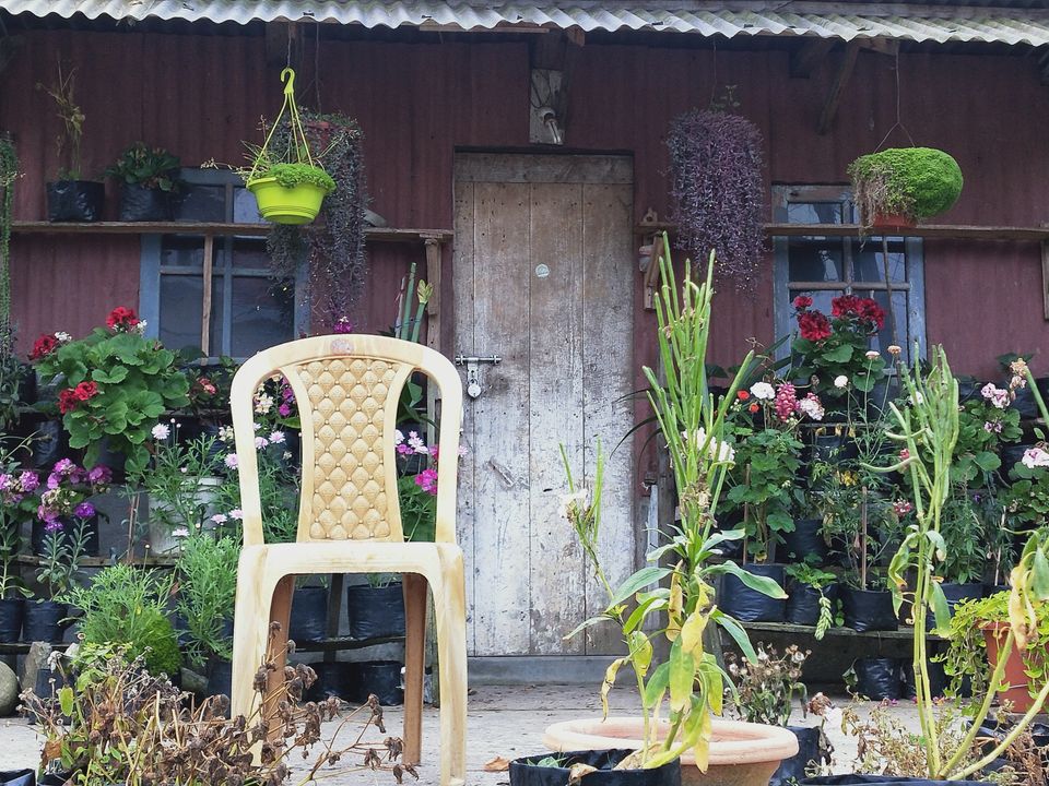 Photo of Trip itinerary in the small town of Mirik by Kavita