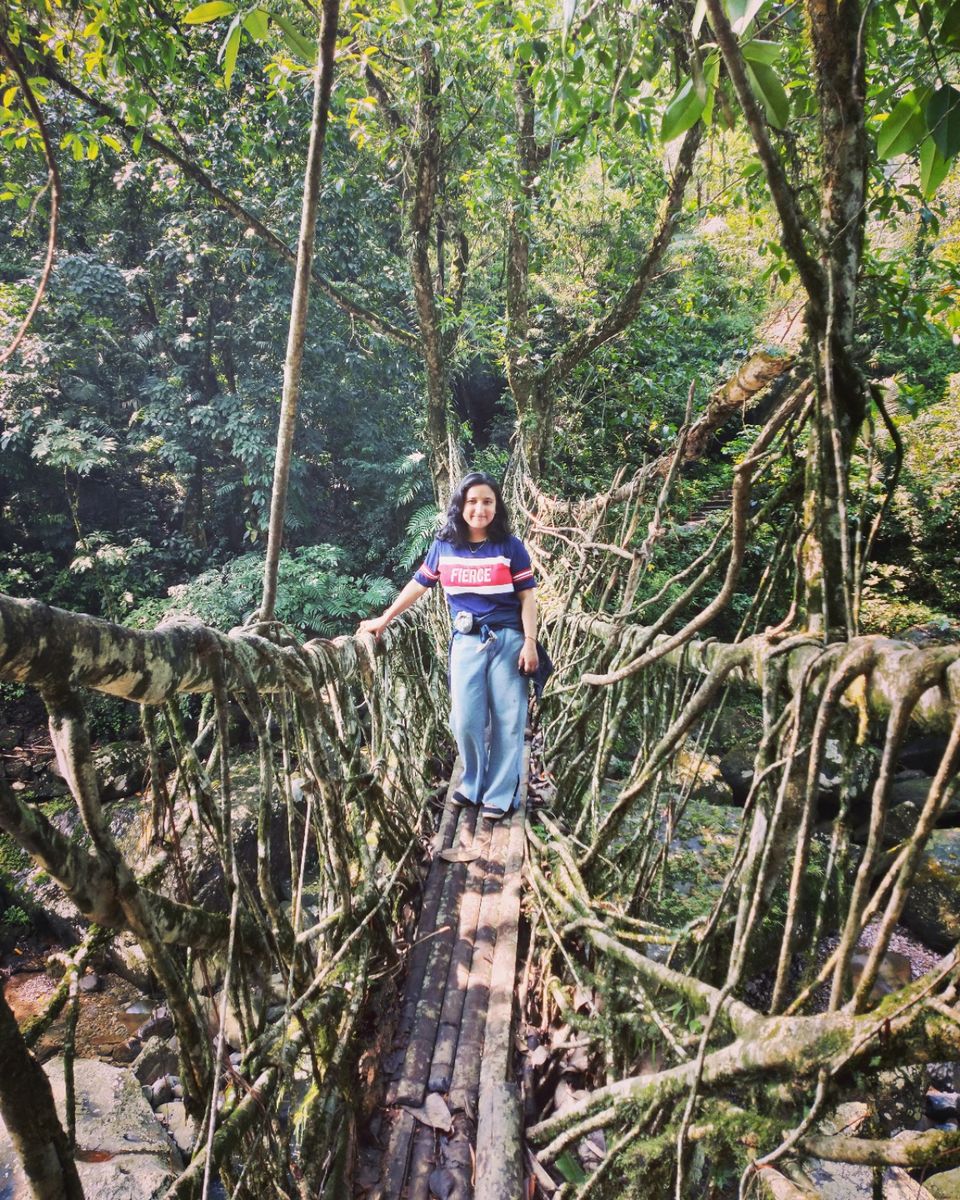 Photo of Meghalaya's most famous living root bridges! Yet unknown among Indians. by Kavita
