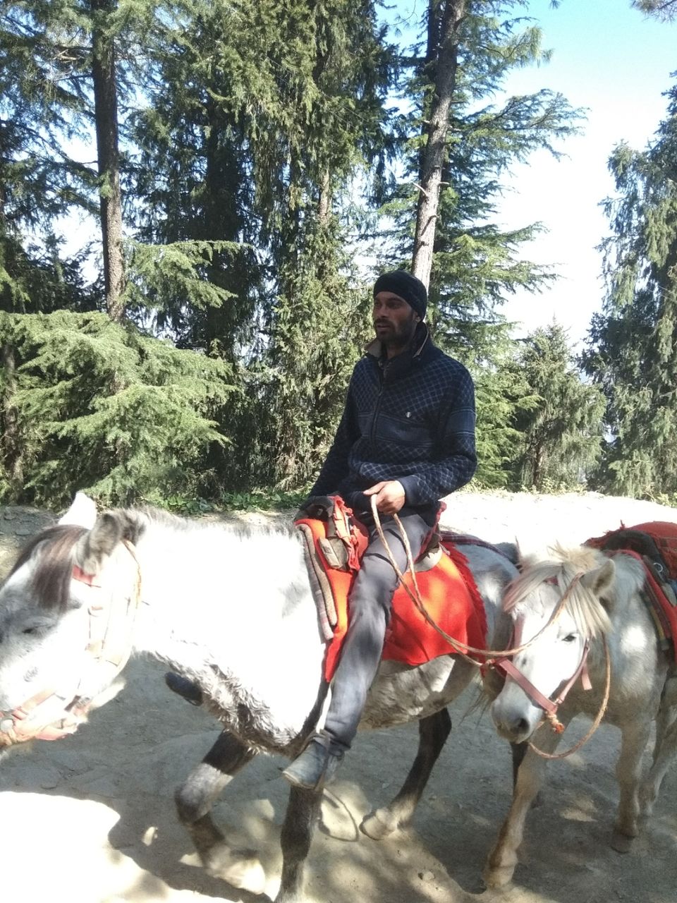 Photo of 5 days , 5 places by Sumantra Bhattacharya