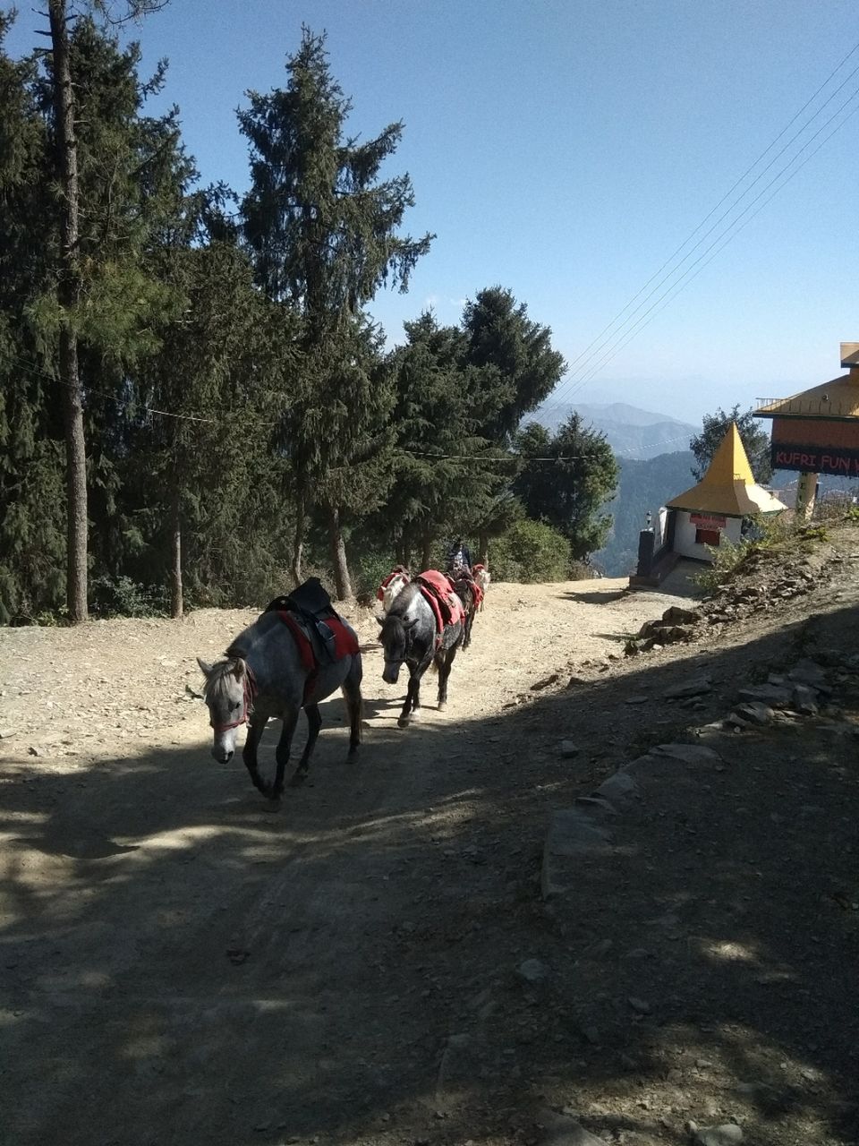 Photo of 5 days , 5 places by Sumantra Bhattacharya
