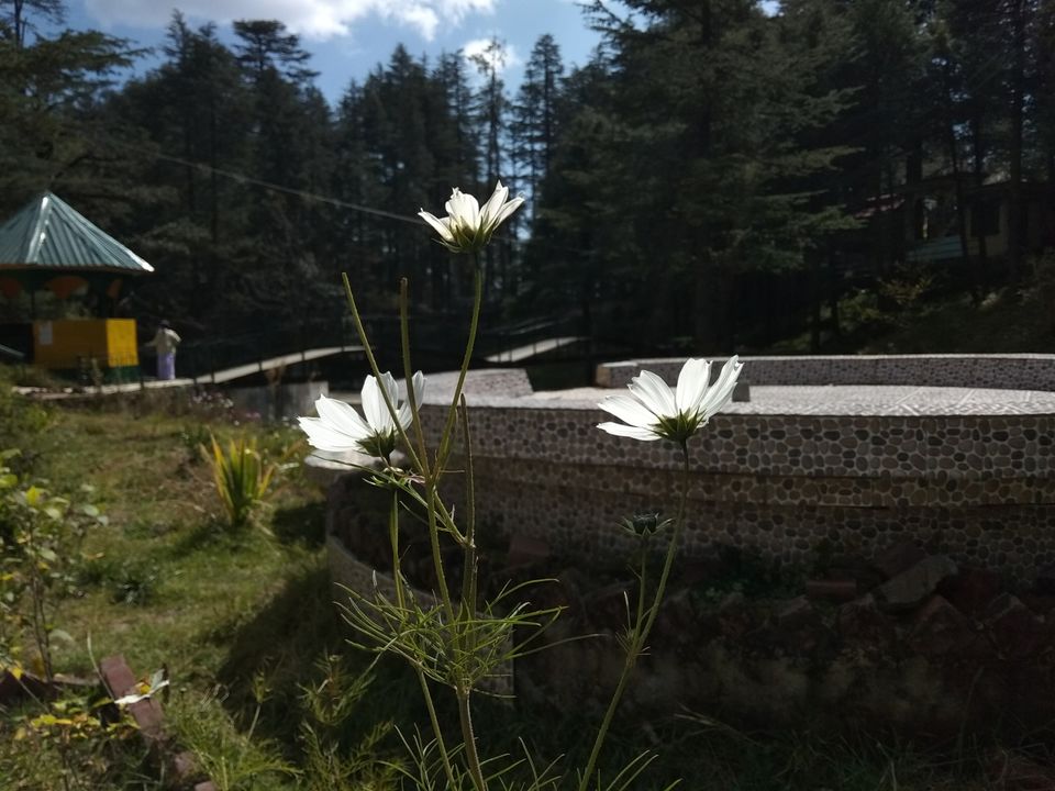 Photo of 5 days , 5 places by Sumantra Bhattacharya