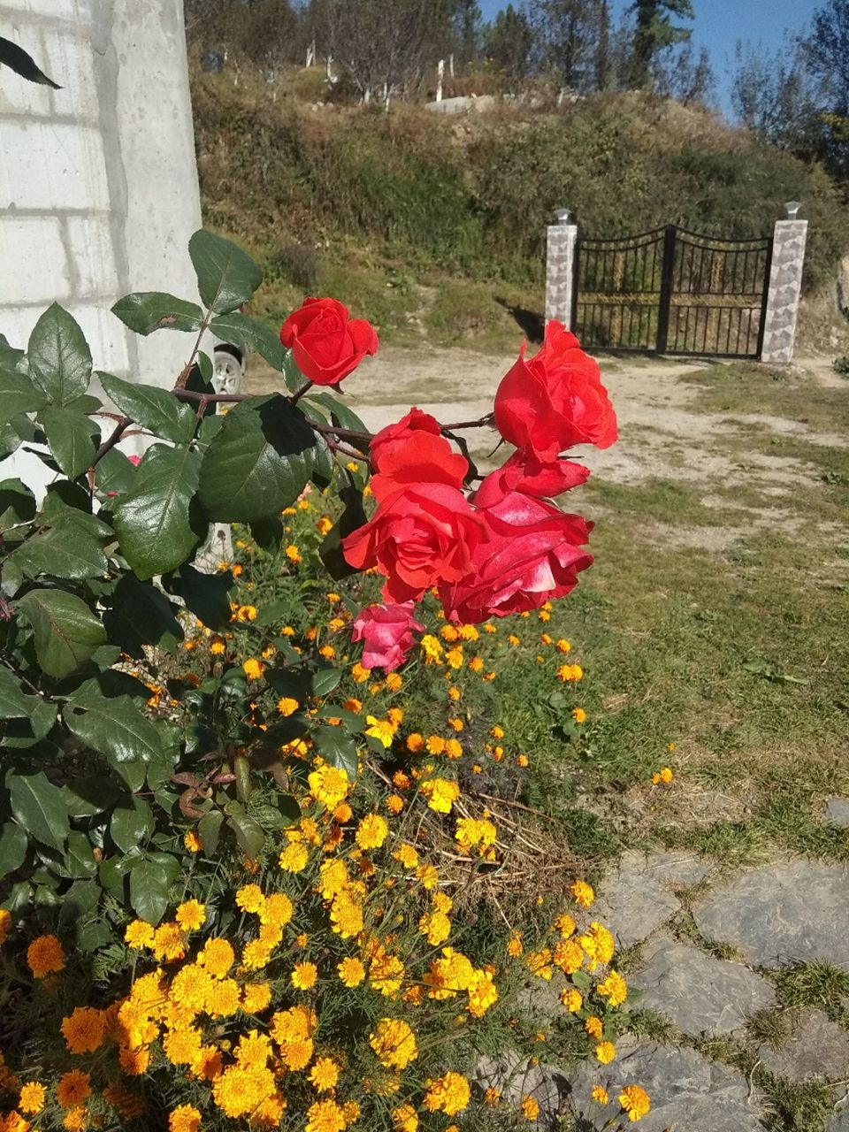 Photo of 5 days , 5 places by Sumantra Bhattacharya