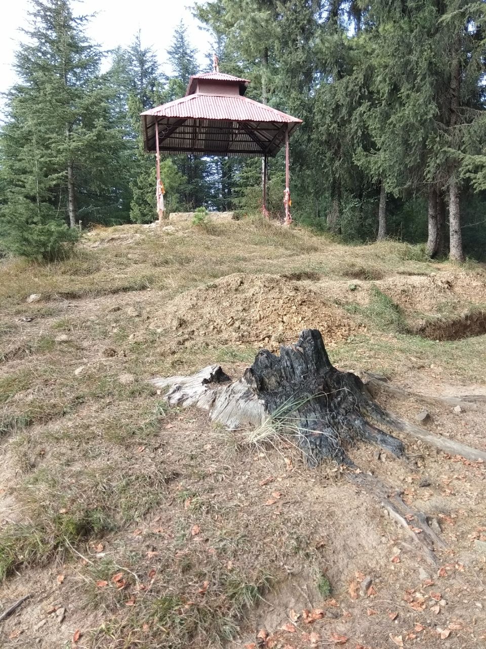 Photo of Shimla, Himachal Pradesh, India by Sumantra Bhattacharya