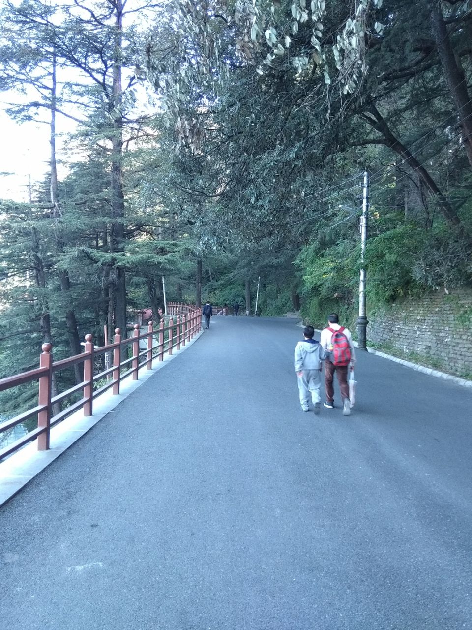 Photo of Fagu, Himachal Pradesh, India by Sumantra Bhattacharya