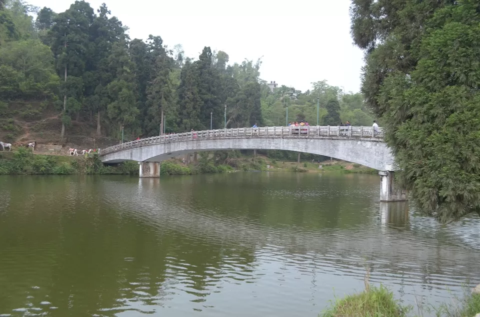 Photo of Siliguri, West Bengal, India by Sushant Singhal