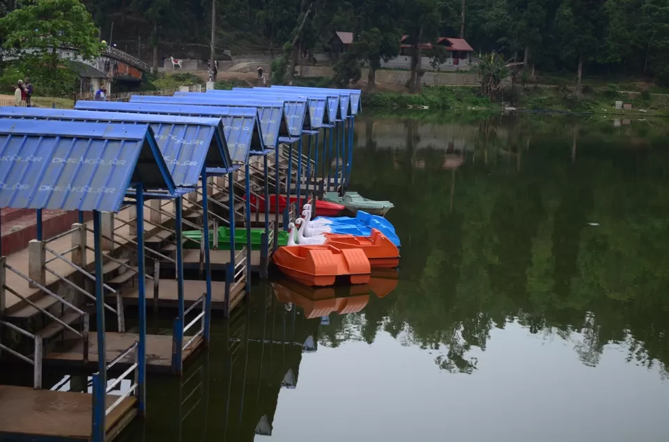 Photo of Siliguri, West Bengal, India by Sushant Singhal