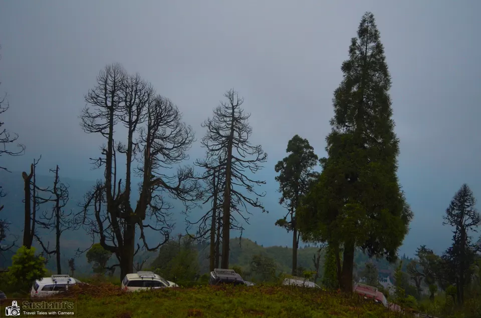 Photo of Tiger Hills - A View To Kanchanjunga, Kalej Valley Tea Garden, West Bengal, India by Sushant Singhal