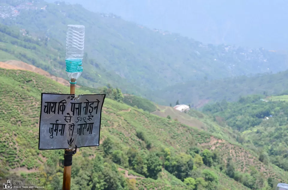 Photo of Happy Valley Tea Estate, Near, Darjeeling, West Bengal, India by Sushant Singhal