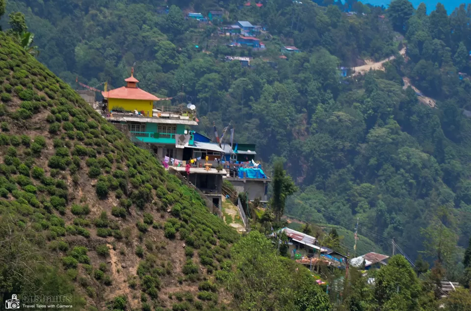 Photo of Happy Valley Tea Estate, Near, Darjeeling, West Bengal, India by Sushant Singhal