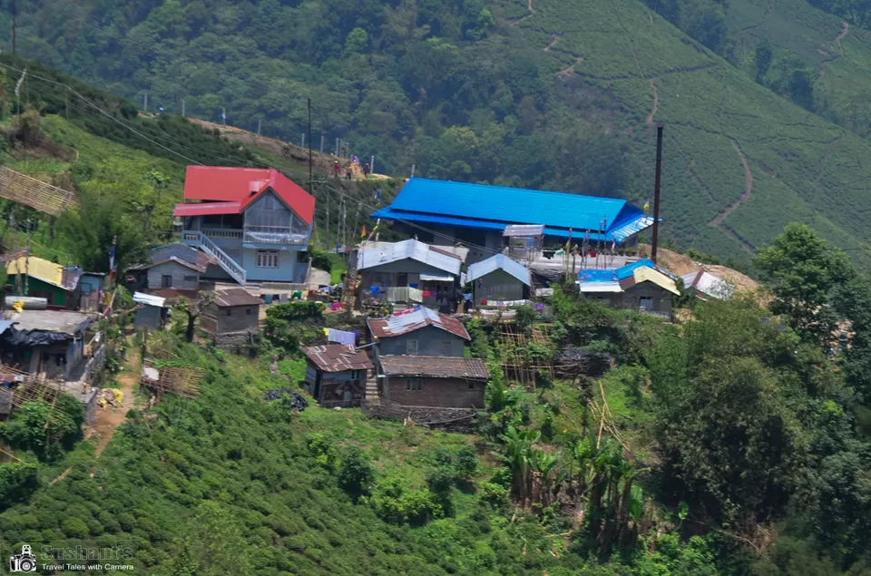 Photo of Happy Valley Tea Estate, Near, Darjeeling, West Bengal, India by Sushant Singhal