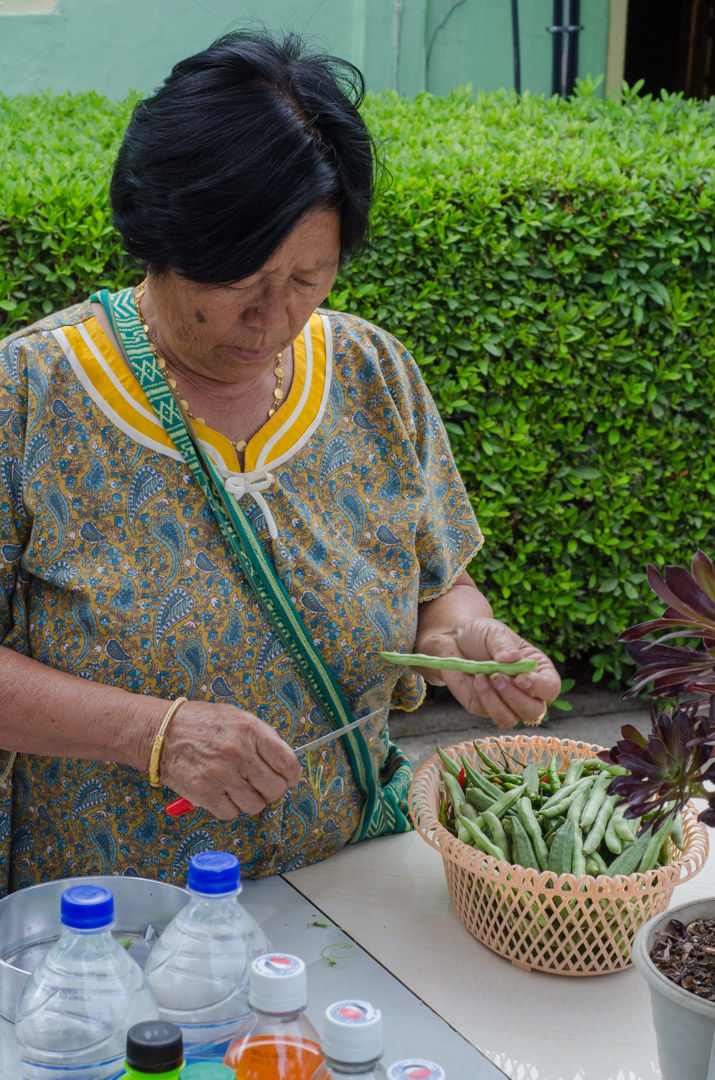 Photo of Pineview Nursery, Kalimpong Khasmahal, Kalimpong, West Bengal, India by Sushant Singhal