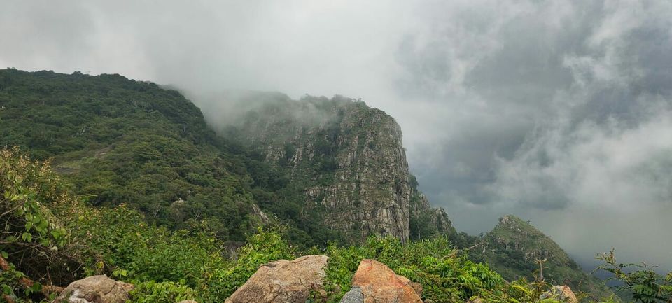 Photo of King of herbs again (kolli hills) by Pradeep Siddhardhan