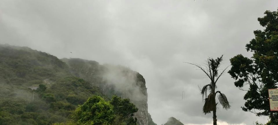 Photo of King of herbs again (kolli hills) by Pradeep Siddhardhan