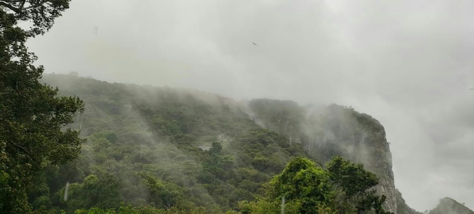 Photo of King of herbs again (kolli hills) by Pradeep Siddhardhan