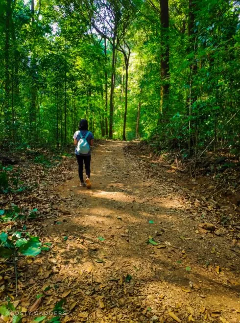 Photo of Kudremukha National Park, Kalkodu, Karnataka, India by Tanushekha Agnihottri
