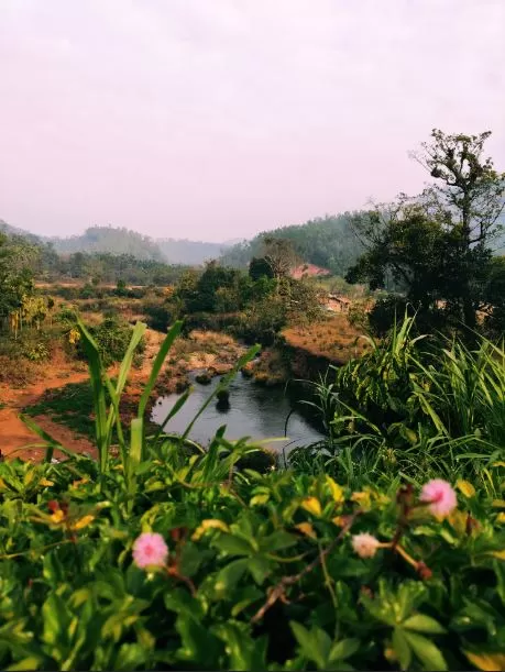 Photo of Balgal Homestay, Kudurekuha Jamly, Karnataka, India by Tanushekha Agnihottri