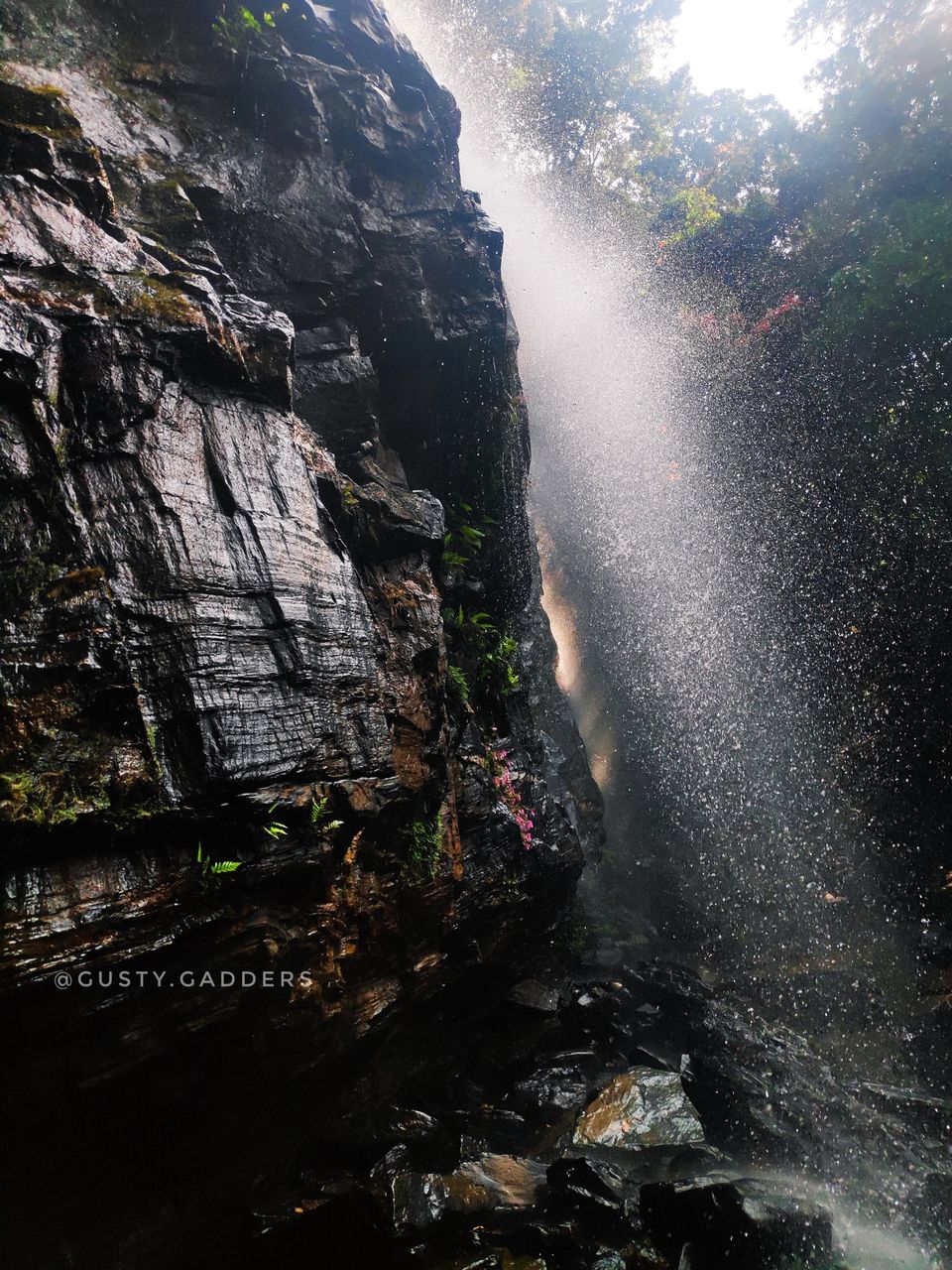 Photo of Kurinjal Trek near Kudremukh- Strenuous Hiking Trails to Serenity by Tanushekha Agnihottri
