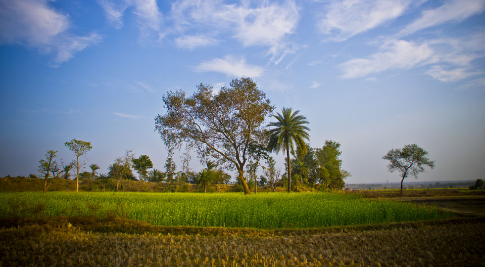 Photo of A day spent in the rural India 8/8 by Aritra Sen