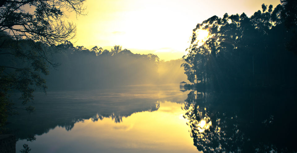 Photo of Ooty on my mind #notinnorth by Aritra Sen
