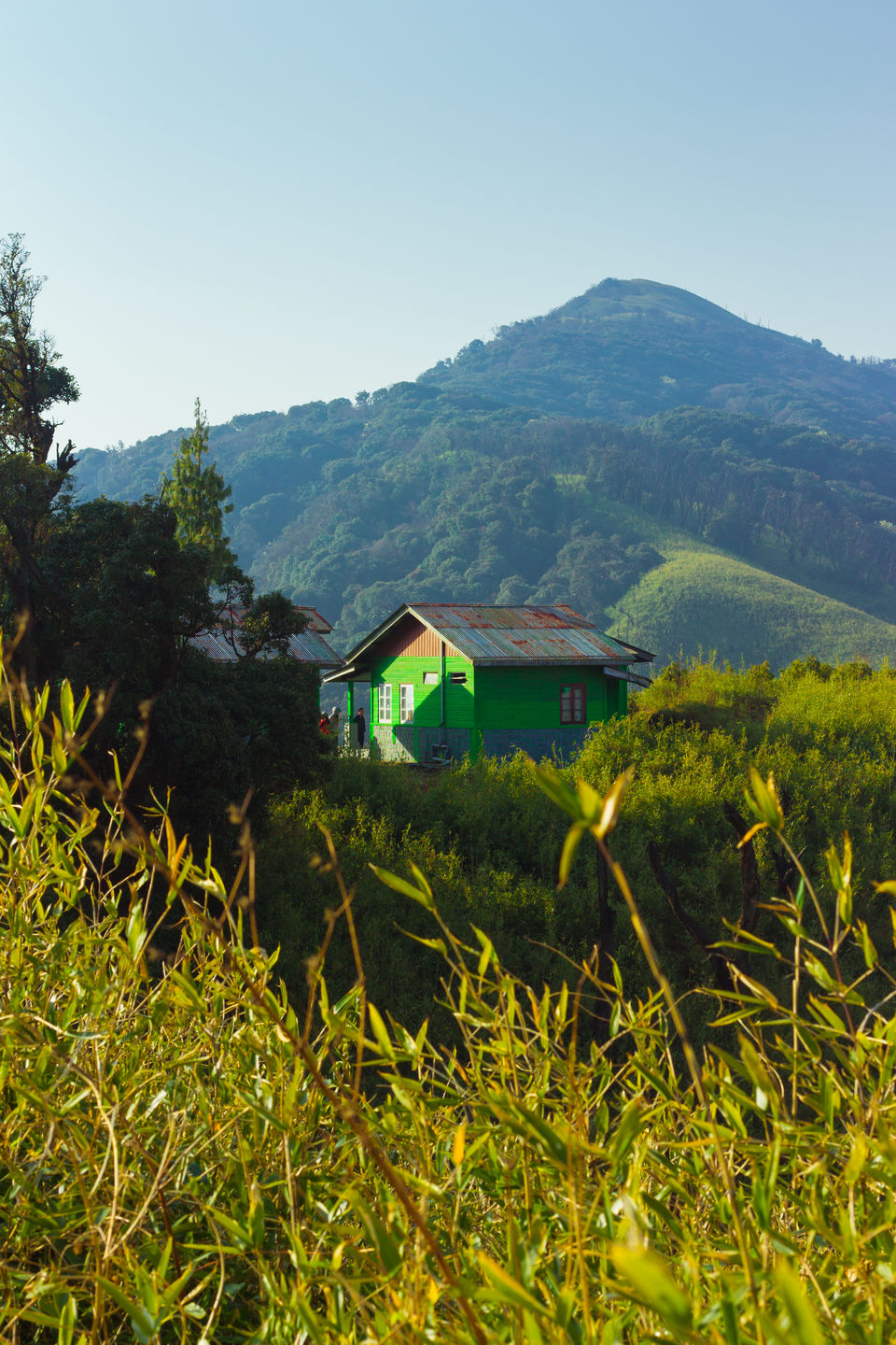 Photo of A love letter from Nagaland- Dzukou Valley by Aritra Sen
