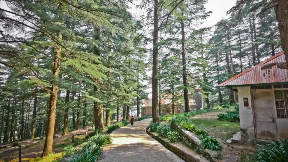 Photo of McLeod Ganj, Dharamshala, Himachal Pradesh, India by Aritra Sen