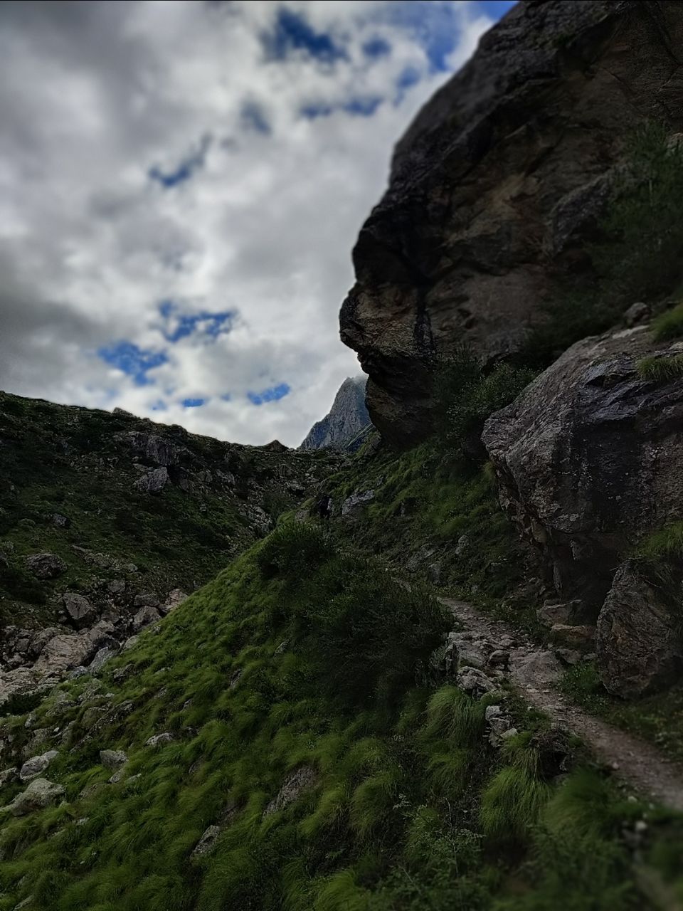 Photo of Gamshali by trekking uttarakhand
