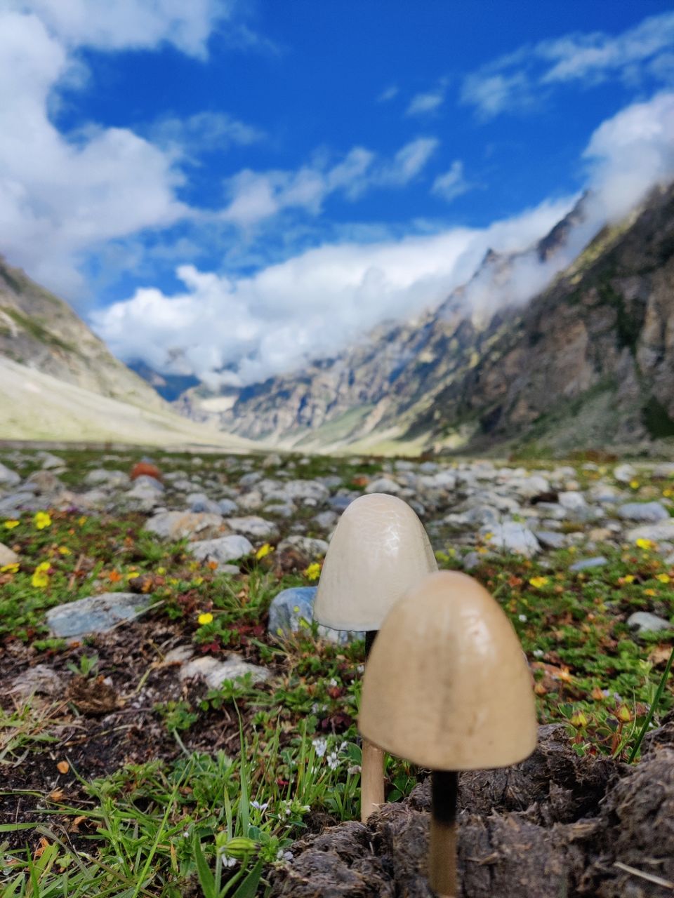 Photo of Gamshali by trekking uttarakhand