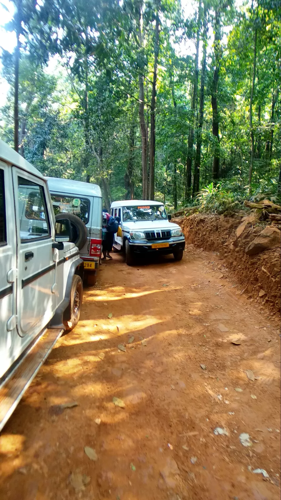 Photo of Dudhsagar trails by Brahma