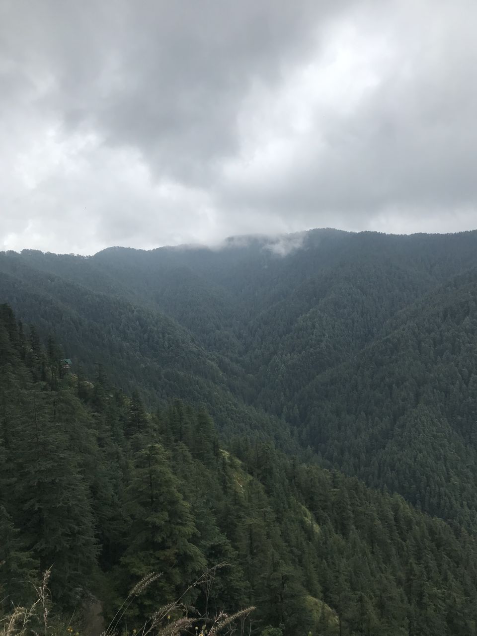 Photo of Scintillating Shimla 1/5 by Neerja Kapadia
