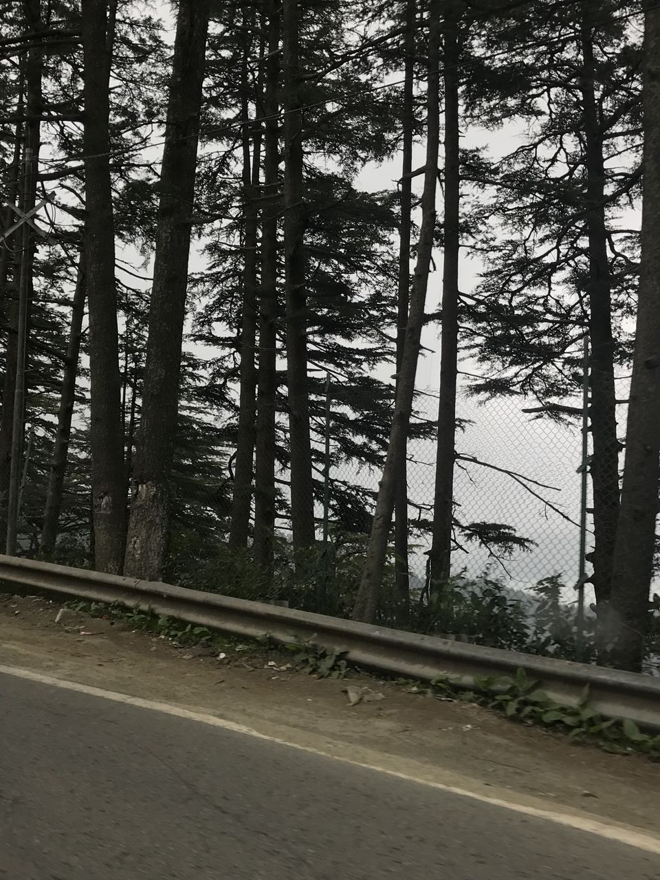 Photo of Scintillating Shimla 5/5 by Neerja Kapadia
