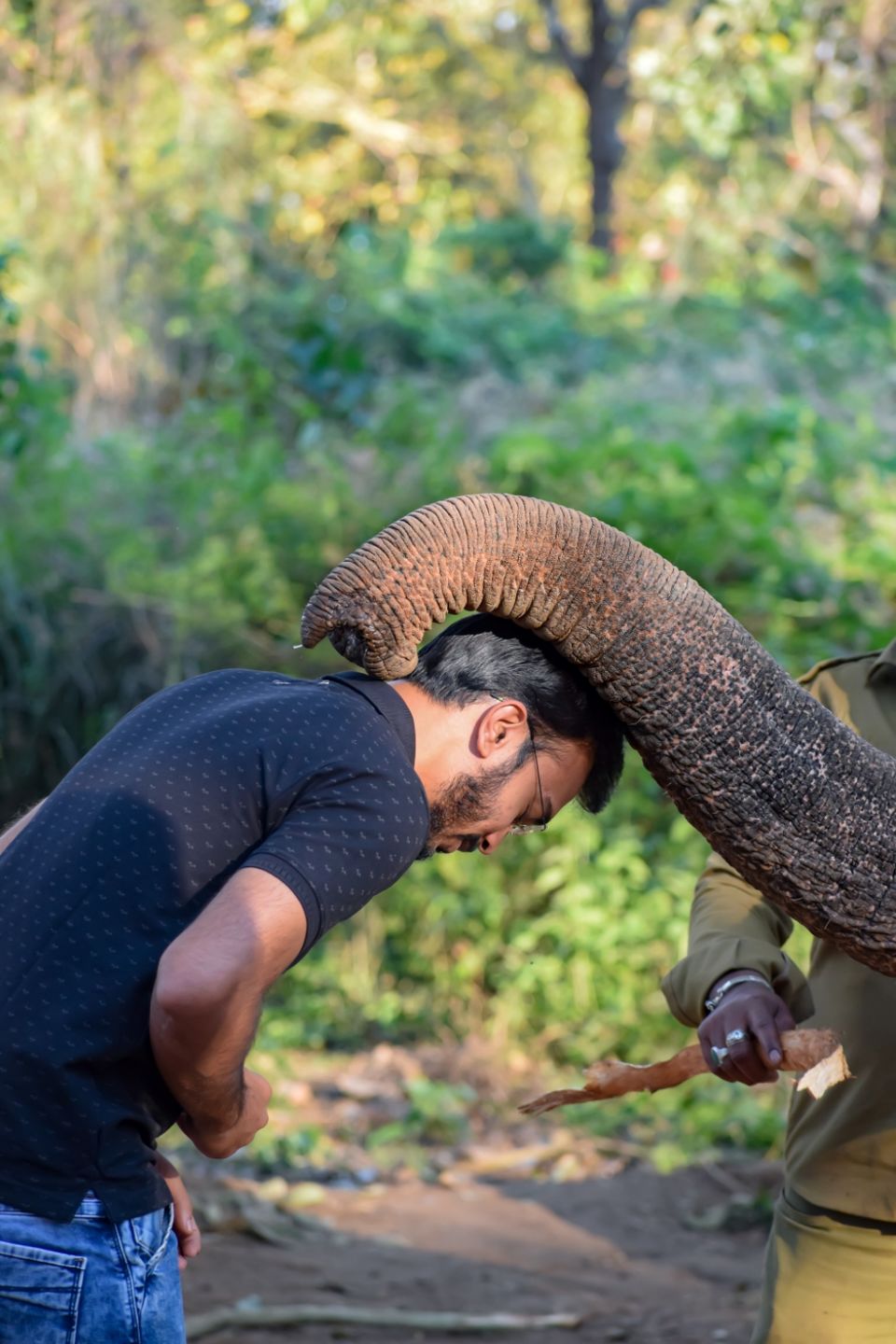 Photo of Sakrebailu Elephant Training Camp by travelfreak.dev